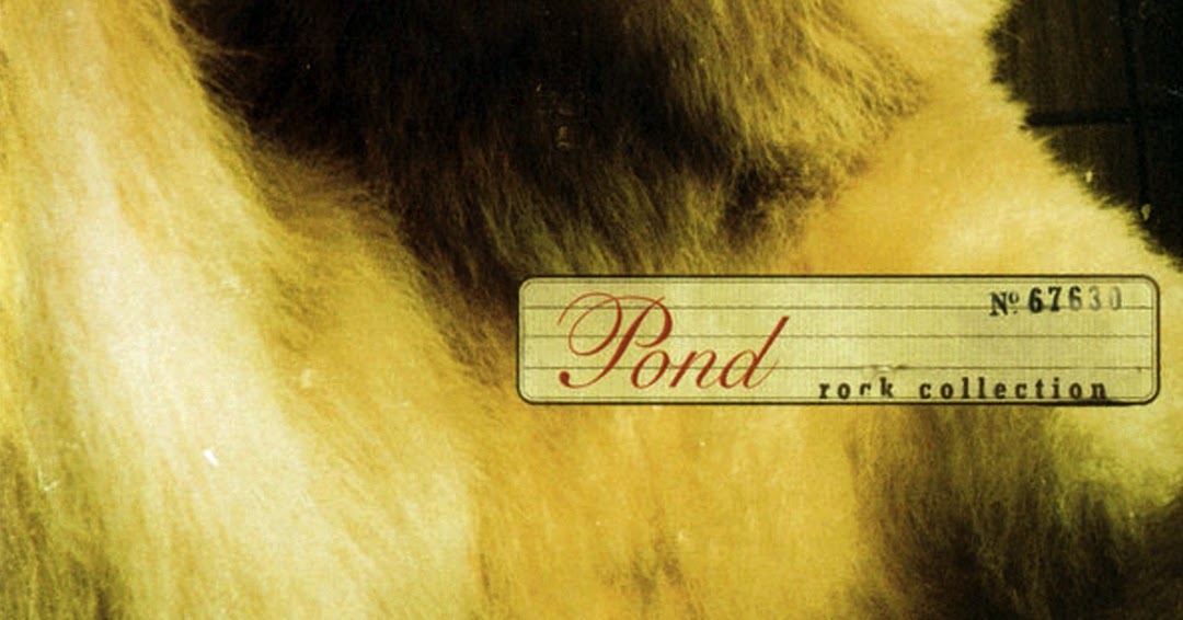 Pond Rock Collection (1997) Mediasurfer.ch