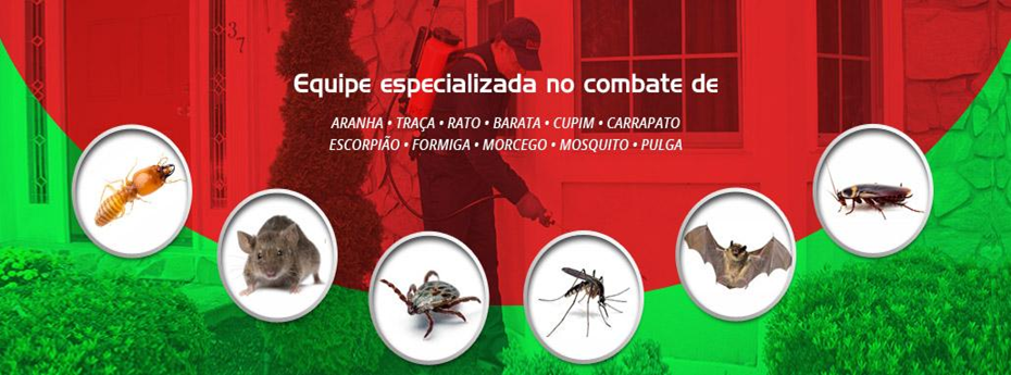 	Dedetizadora de Aranhas Tracas Pulgas Carrapatos Escorpioes Sp Jardim Novo Parelheiros	