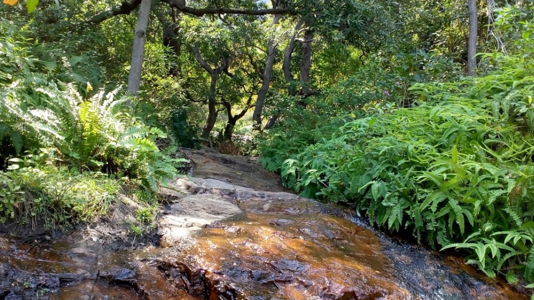 Waterfalls Near Chennai KAILASA KONA WATERFALLS ( KONAI FALLS)