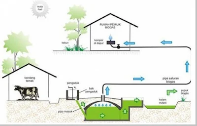 Bioteknologi di bidang lingkungan