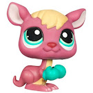 Littlest Pet Shop Pet Pairs Kangaroo (#1524) Pet