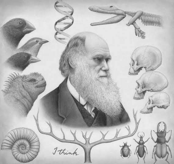 Teoría de la personalidad basada en el Darwinismo