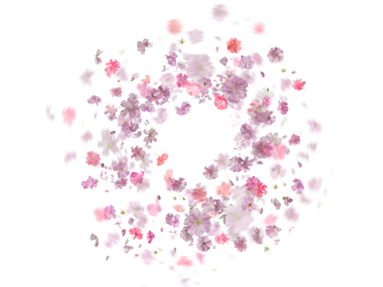 Flower's Effect's Png...!! !! Make Perfect Feel Real