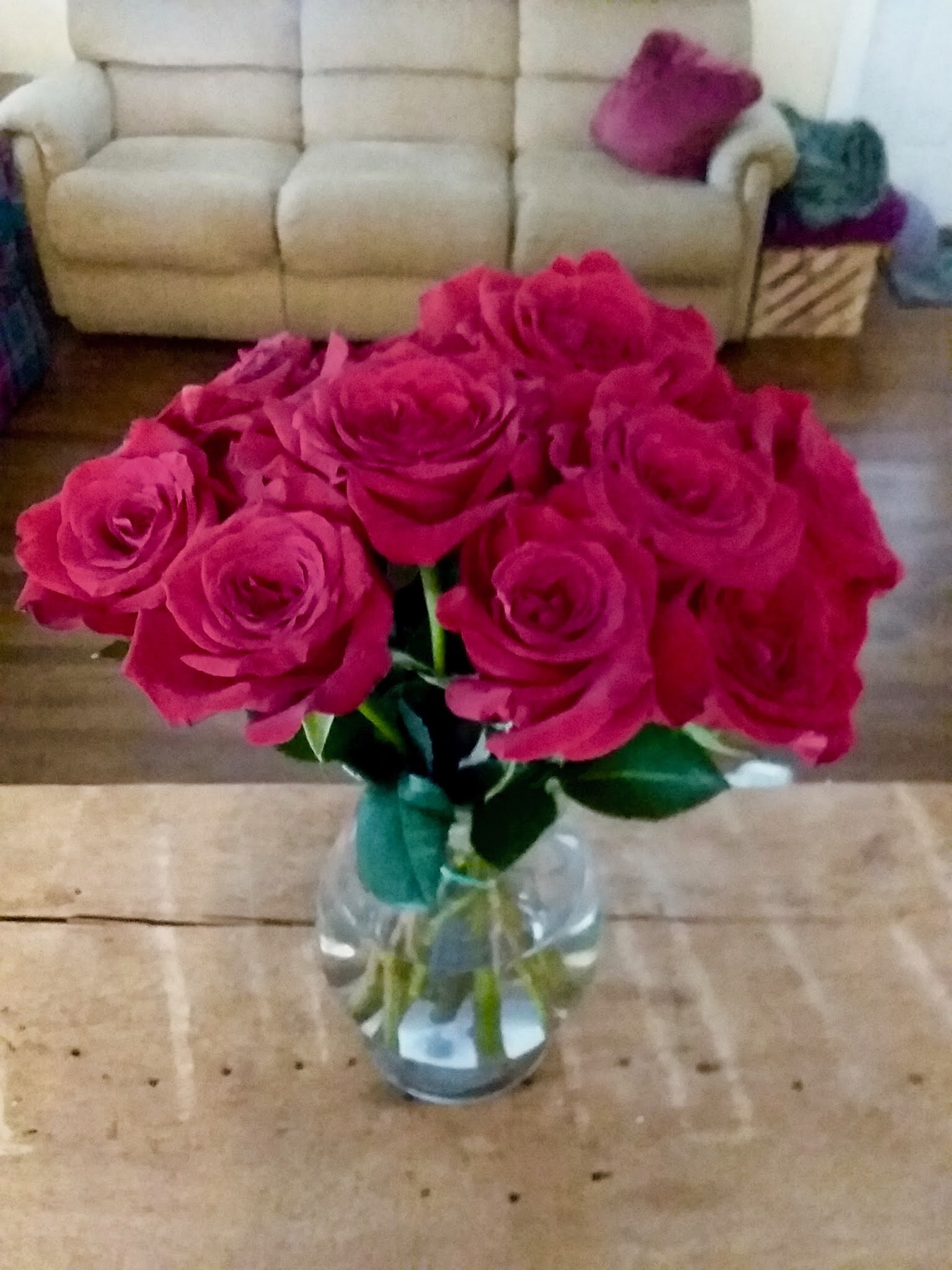 Roots Valentine's Day 2021