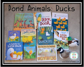 http://www.biblefunforkids.com/2018/07/god-makes-pond-animals-ducks.html