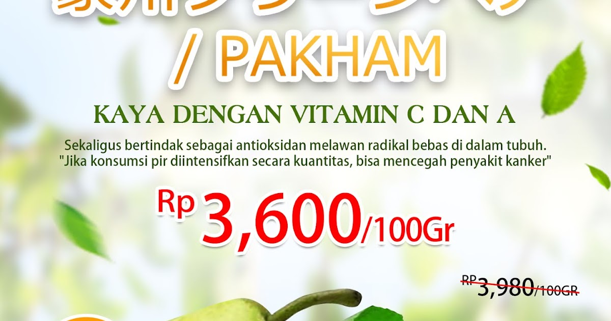 Papaya Bali Daily promo PAPAYA FRESH GALLERY BALI