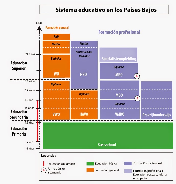 Your system education