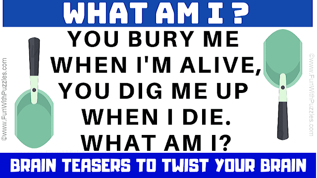 Your Bury me when I am alive. You dig me up when I die. What am I?