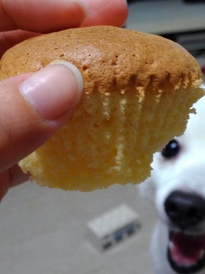 Homemade Meals for Children Soft Sponge Cake (No baking powder) by Lim