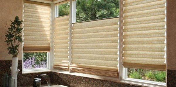 Latest Blind Trends For The Year 2019