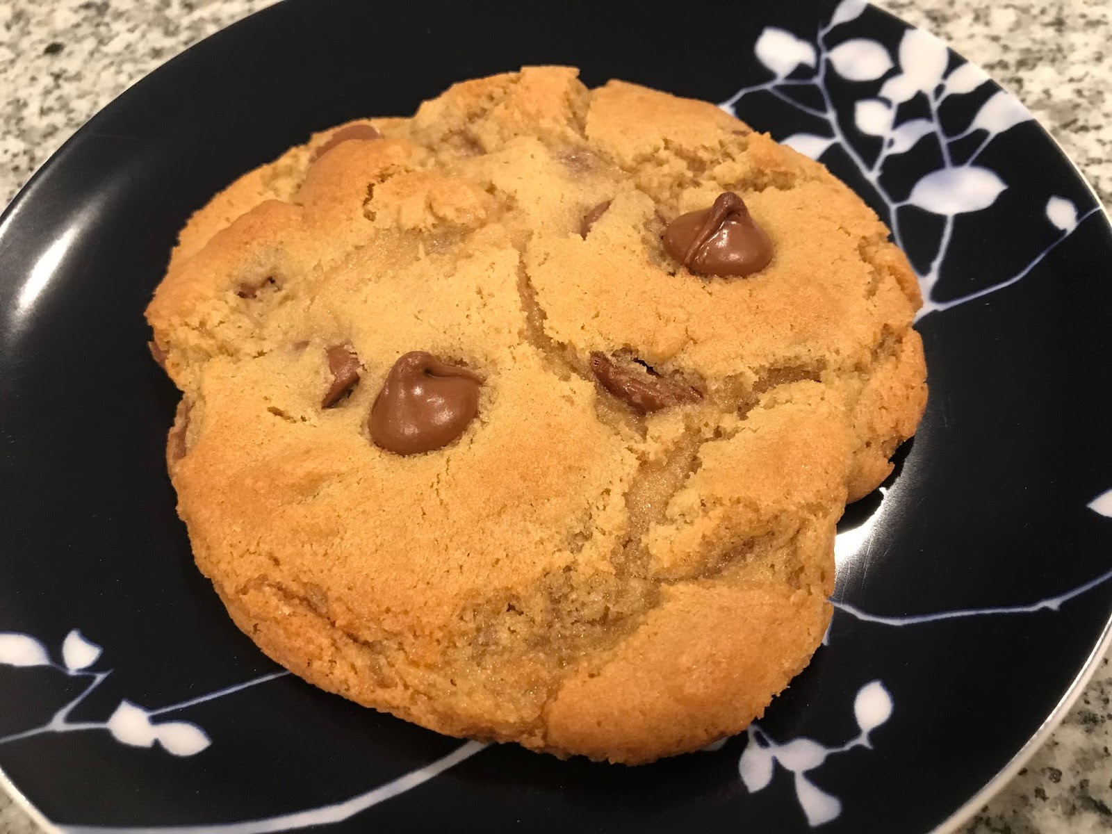 The Pastry Chef's Baking High Altitude Baking with Chocolate Chip Cookies