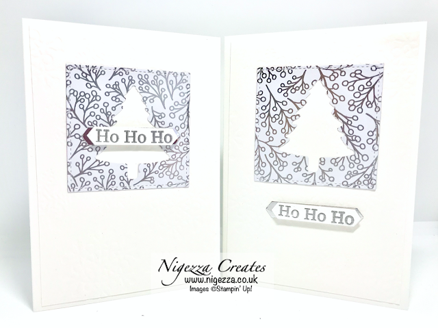 Nigezza Creates with Stampin' up! Feels Like Frost DSP