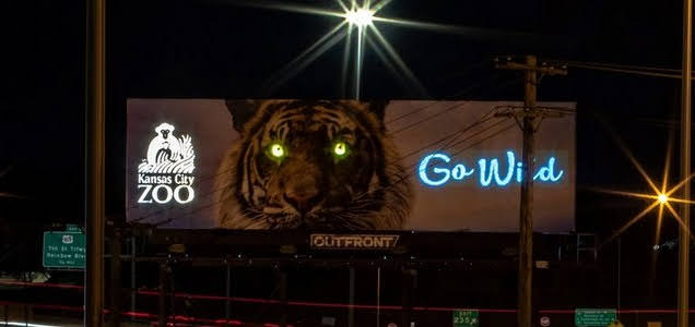 Kansas City Zoo Kills Another Captive