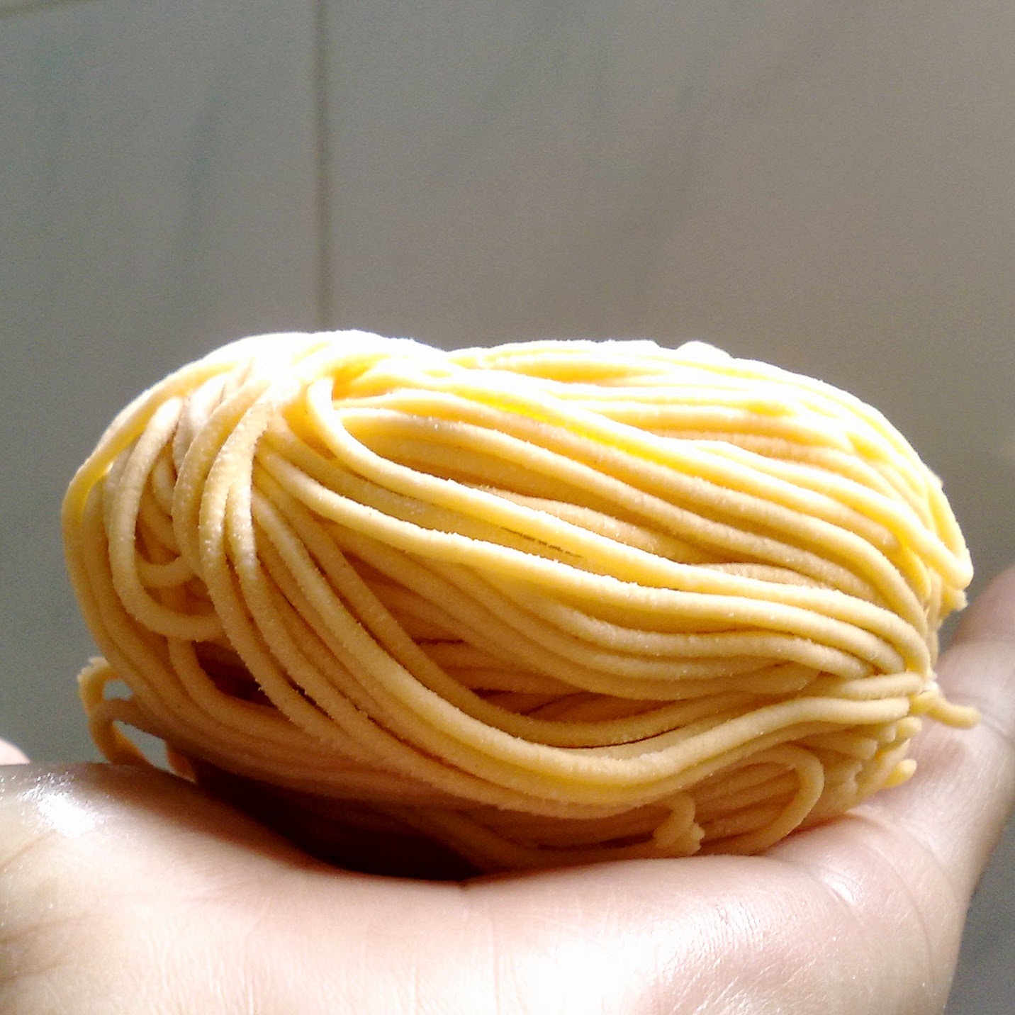 Best Noodle Dishes, Homemade Noodle Recipes & Creative Ideas Homemade