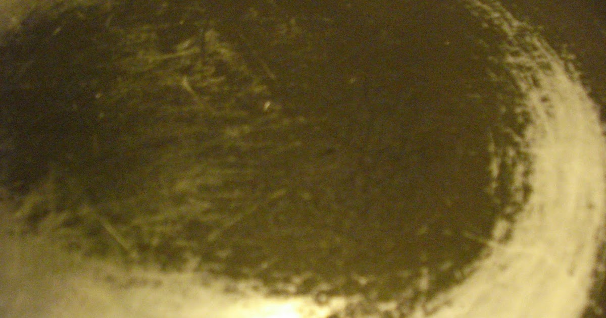 Black is the ABSENCE of Color