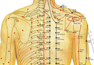 Vị trí huyệt nhu du