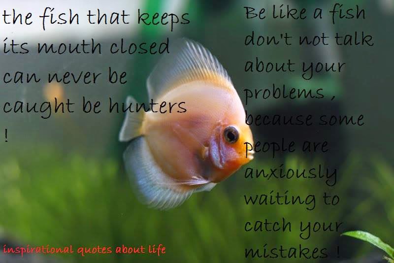 Rare Motivational Quotes QuotesGram ancient-beutiful-rare-motivational-quotes-seek-what-is-seeking-you