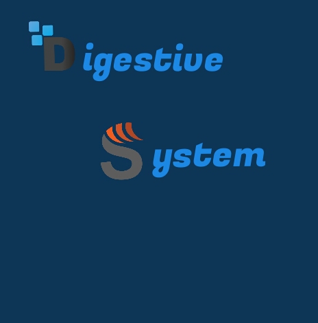  Digestive System,The Digestive Process,Functions,ASSESSMENT, Most Common  Problem