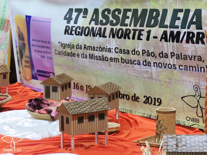 Assembleia CNBB: Análise mostra um mundo sem paz e um país social e  politicamente em crise – REPAM