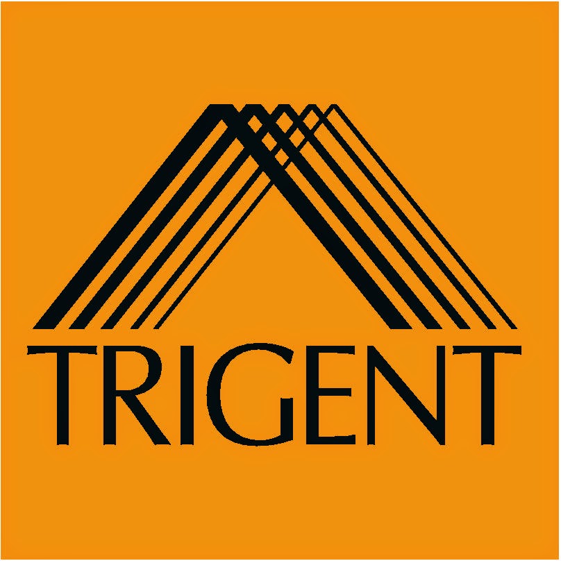 theorare-jobs-india-trigent-software-walkin-drive-for-freshers-hiring-on-12th-jan-2015
