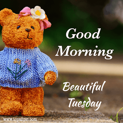 good morning tuesday images good morning tuesday images