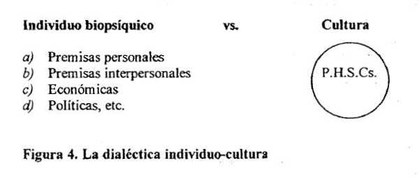 dialectica individuo-cultura