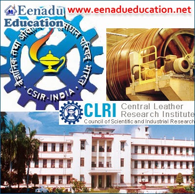 CSIR CLRI Scientist and Technical