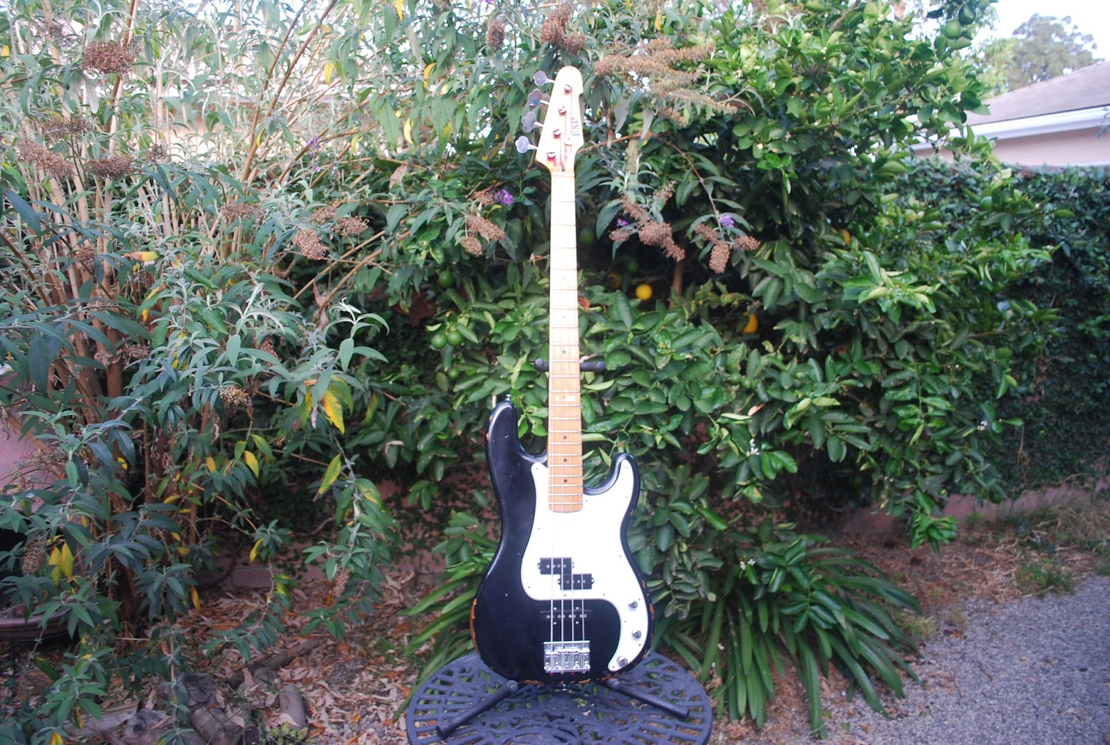 Rex and the Bass 2007 ESP Vintage Four Bass Review