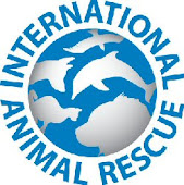 I.A.R. (resgate de animais em perigo e maltratados, rescue of animals in danger and abuse)