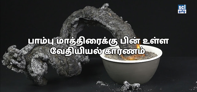 பாம்பு மாத்திரை