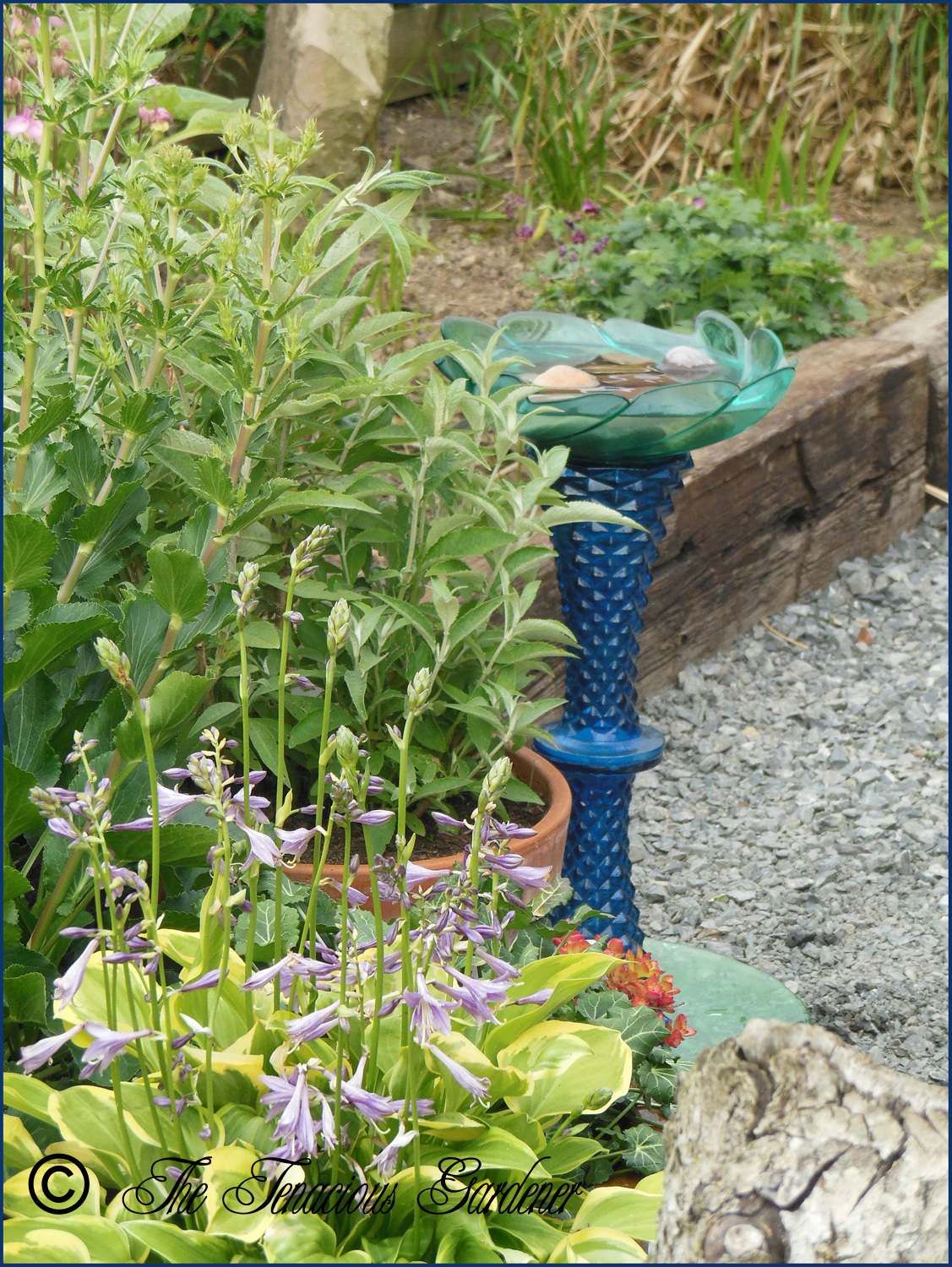 The Tenacious Gardener! Coloured glass bird bath easy to make