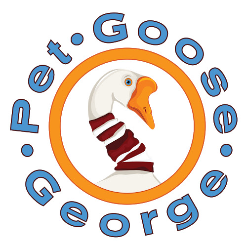 Pet Goose Youtube Channel Full Details
