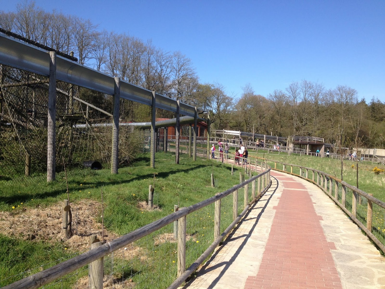 The Cabbages of Doom: Hanging out with the cousins at Monkey World