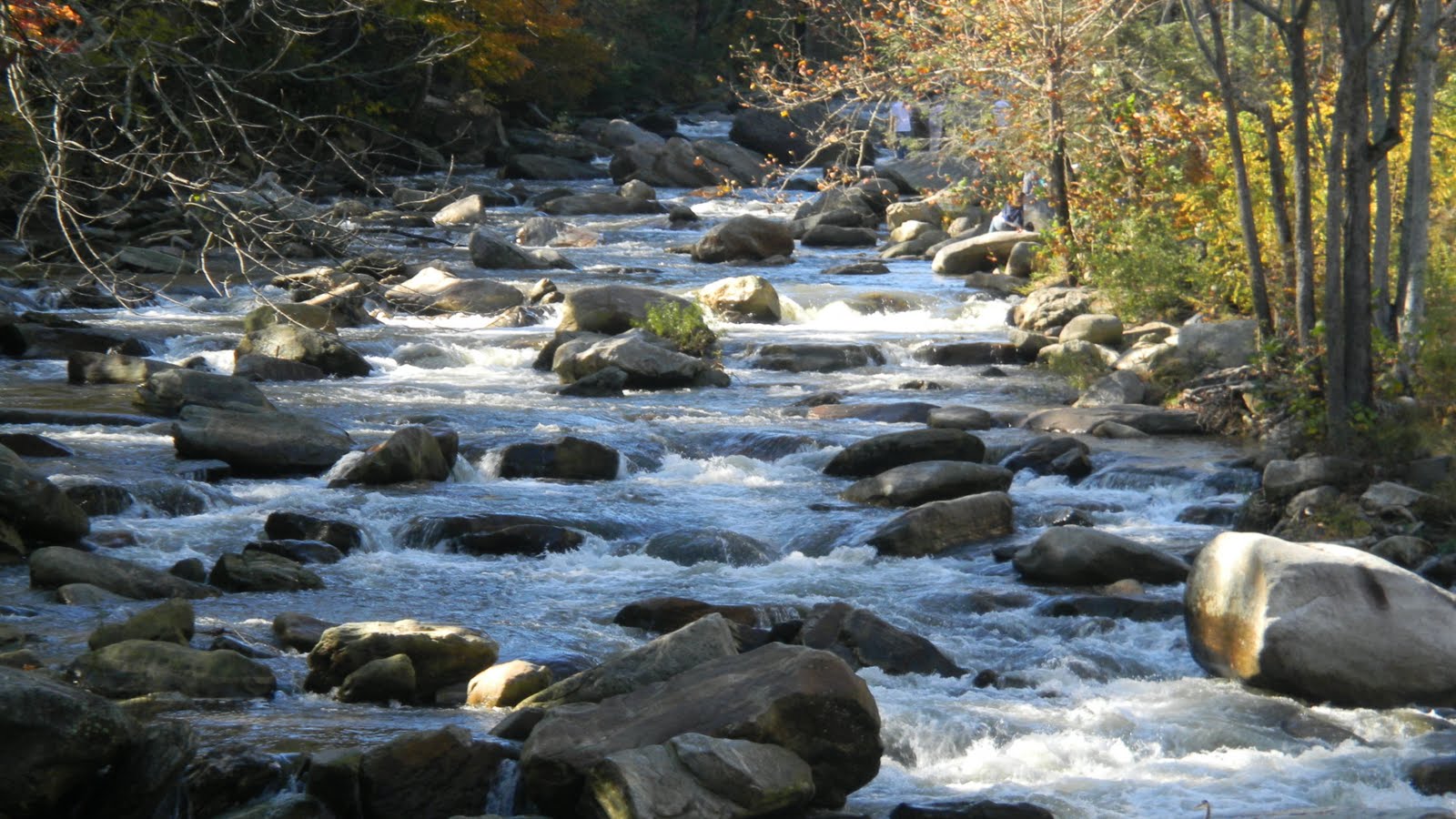Picture Perfect Mountain Springs