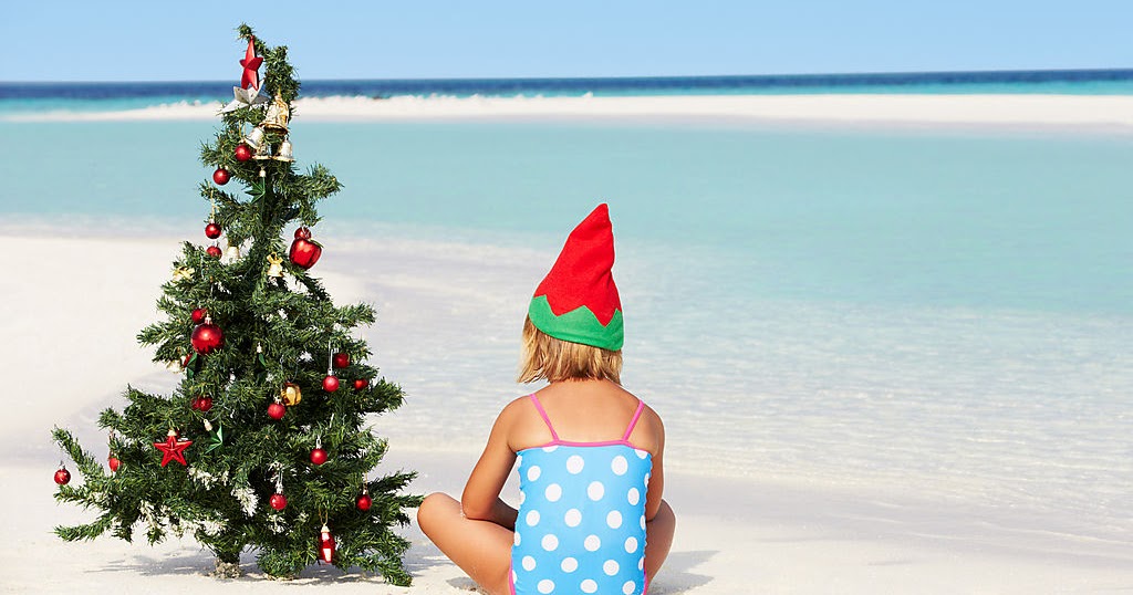 Елка в египте Елка в египте