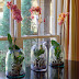 Orchids Under Glass