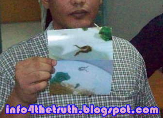Info 4 The Truth: BOIKOT OLD TOWN WHITE COFFEE !!! PEMILIK HINA ISLAM ...