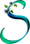 Abecedario Azul y Verde con Flores. Green and Blue Alphabet with Flowers.