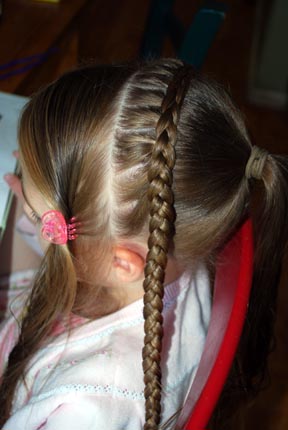 Braid Across Front Of Head Images