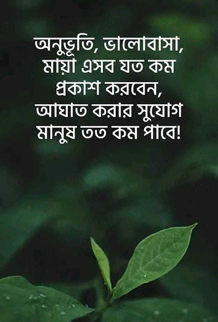 Bengali Love Poem image, Bengali Poem On Love image