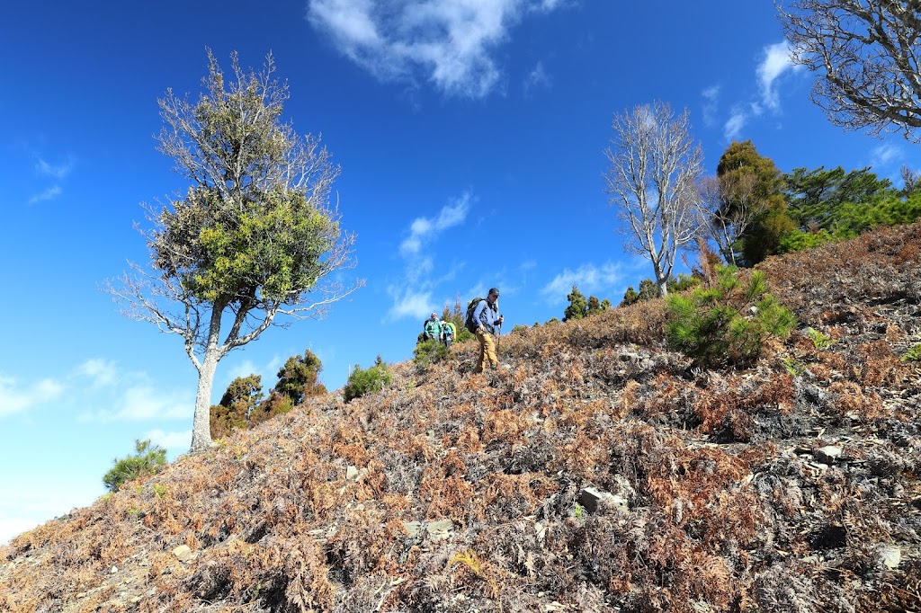 加年端山南稜山徑