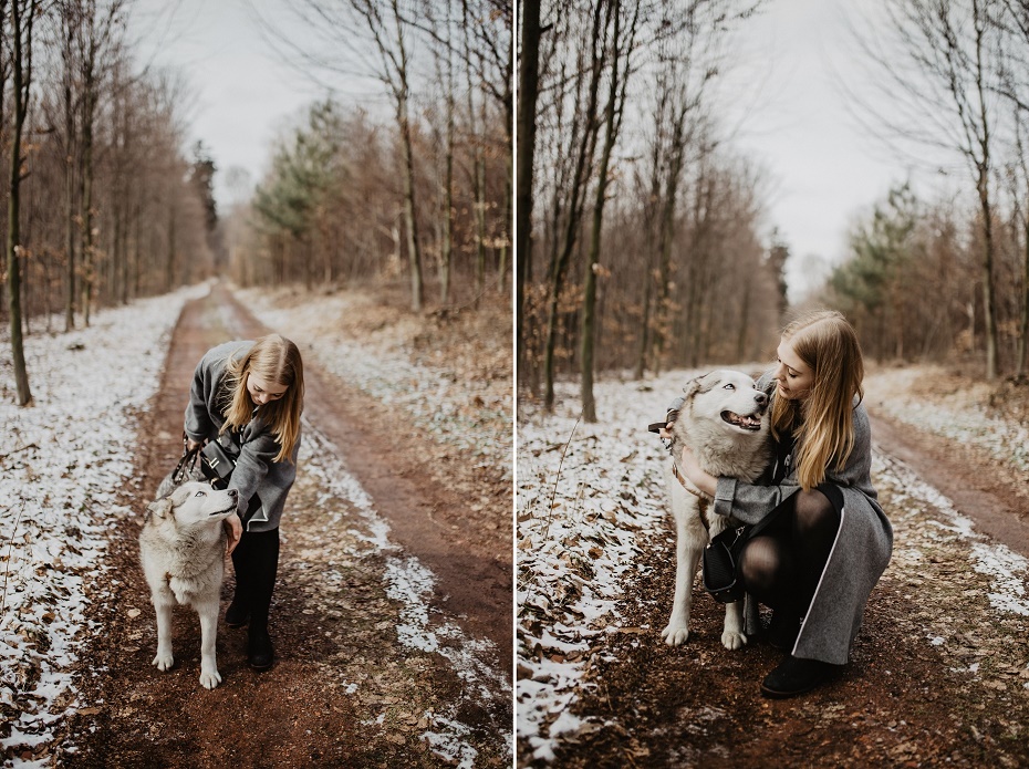 Sesja zdjęciowa Husky Sesja zdjęciowa Husky