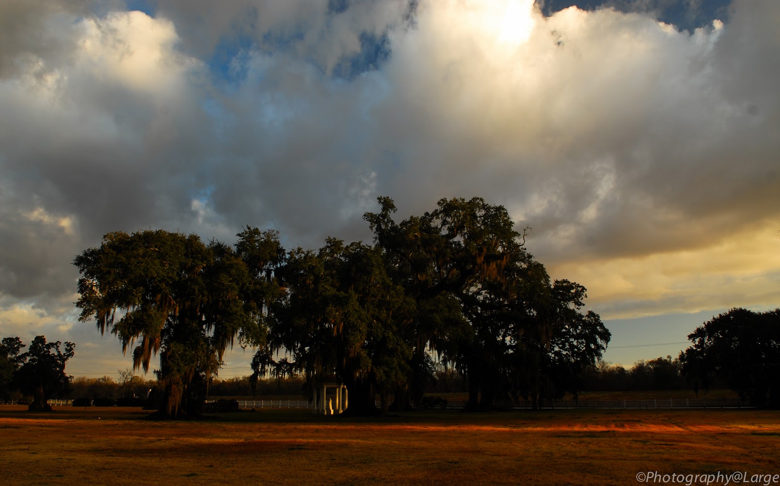 PhotographyLarge Evergreen Plantation, Edgard, La.