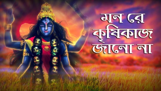 Mon Re Krishikaj Jano Na Lyrics (মন রে কৃষিকাজ জানো না) Shyama Sangeet
