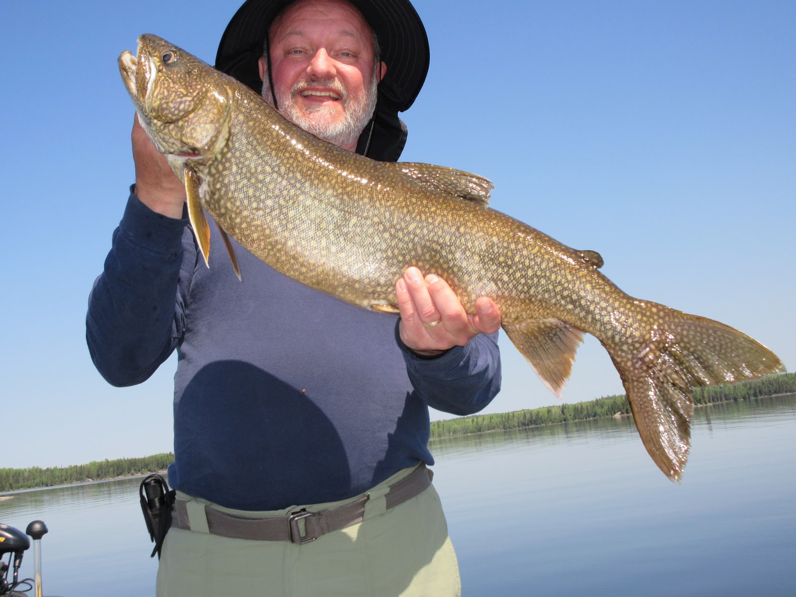 Black Bear Lodge Blog Biggest Lake Trout 2017