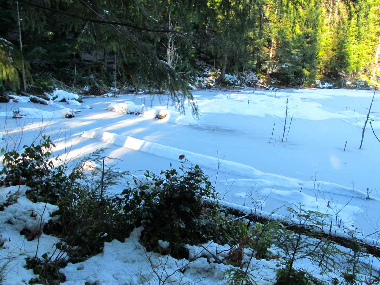 DJanity Blanchard Mountain and a party