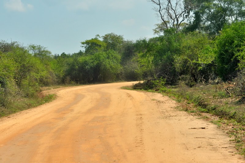 DSC_1342.JPG