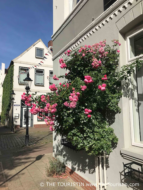 Dark pink roses grow over a grey painted facade of a corner house with a white house in the background.