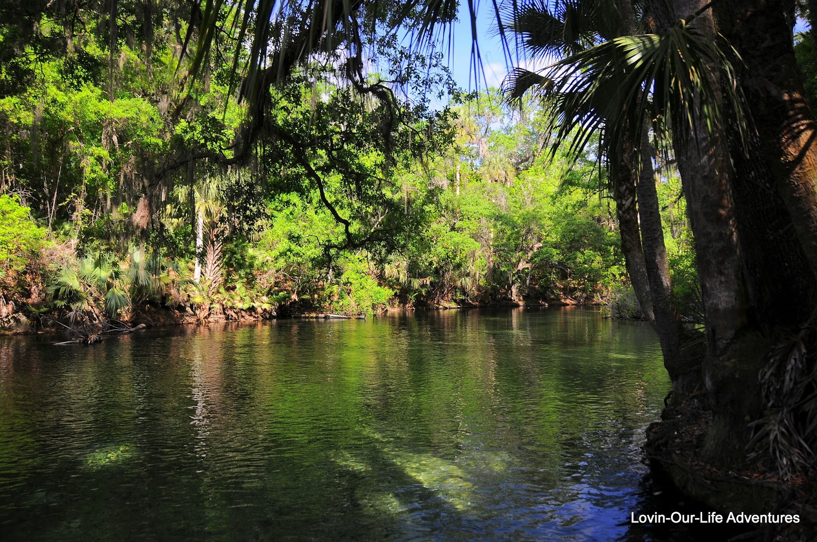 LovinOurLife Adventures Central Florida State Parks