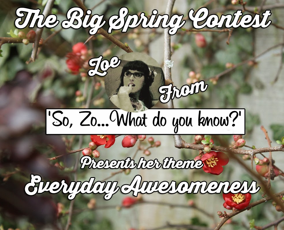 'So, Zo...': Big Spring Contest: 'Everyday Awesome' Finalist and runners up